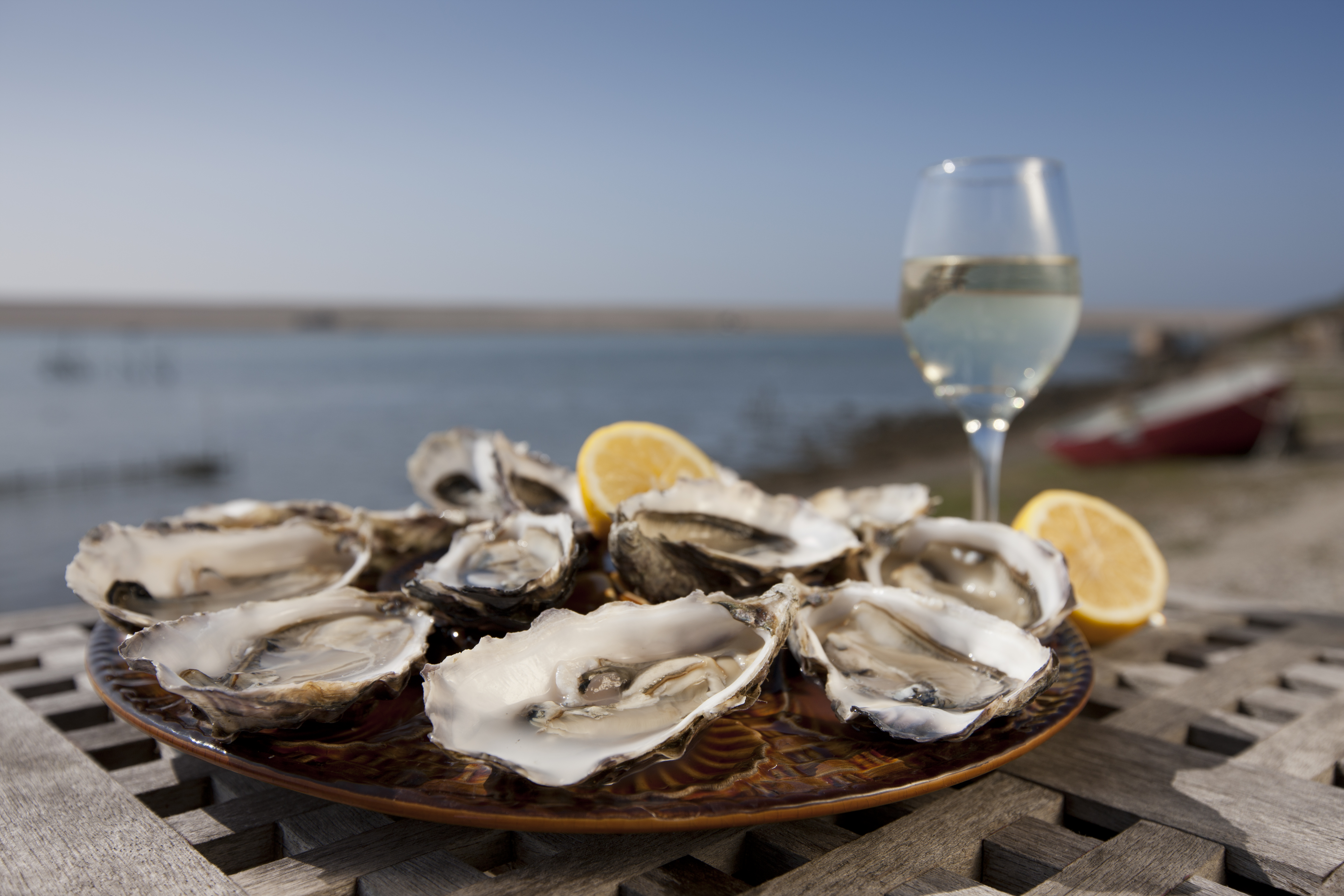 Ein Teller mit Austern und ein Glas Wein auf einem Holztisch am Meer