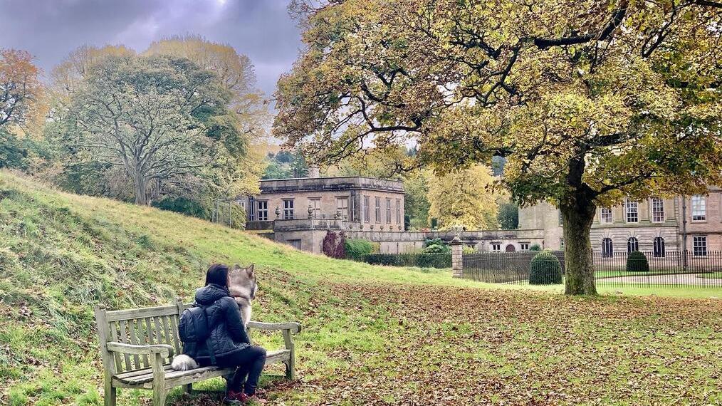 Eine Frau und ein Hund sitzen auf einer Bank im Freien im Lyme Park, Cheshire