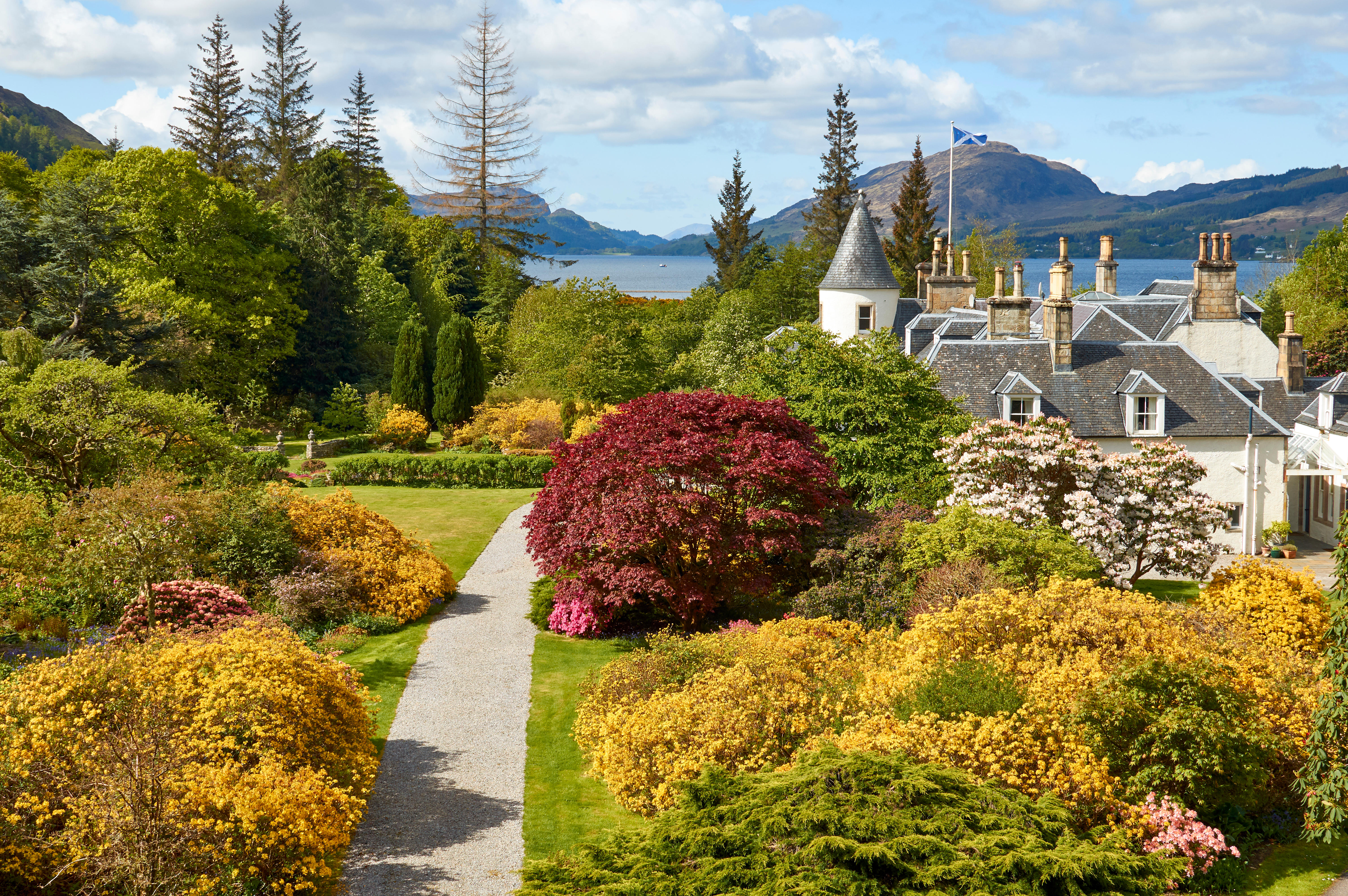 Spring flowers and trees in the Attadale Gardens