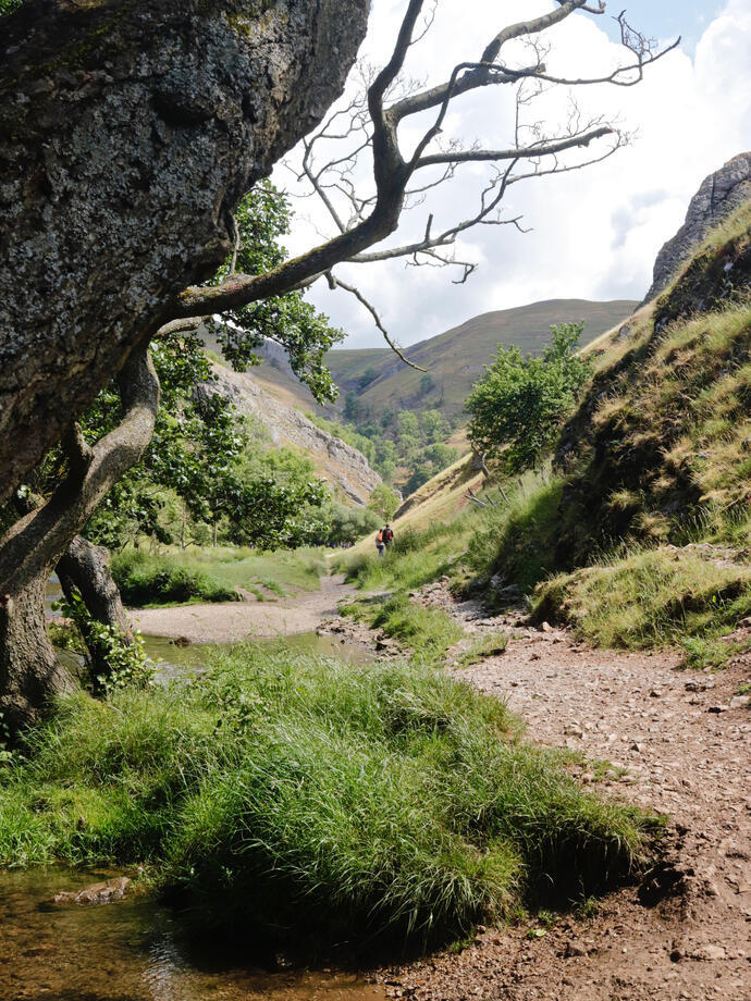 متنزهون يمشون على ضفة النهر