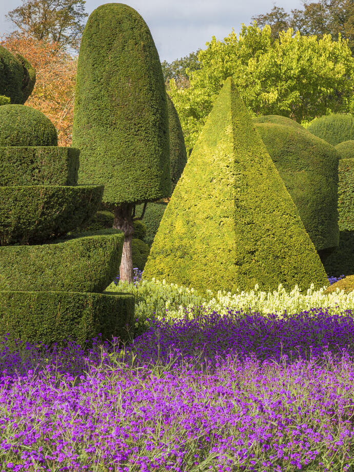 Colourful flower beds in a bright garden with trimmed hedges