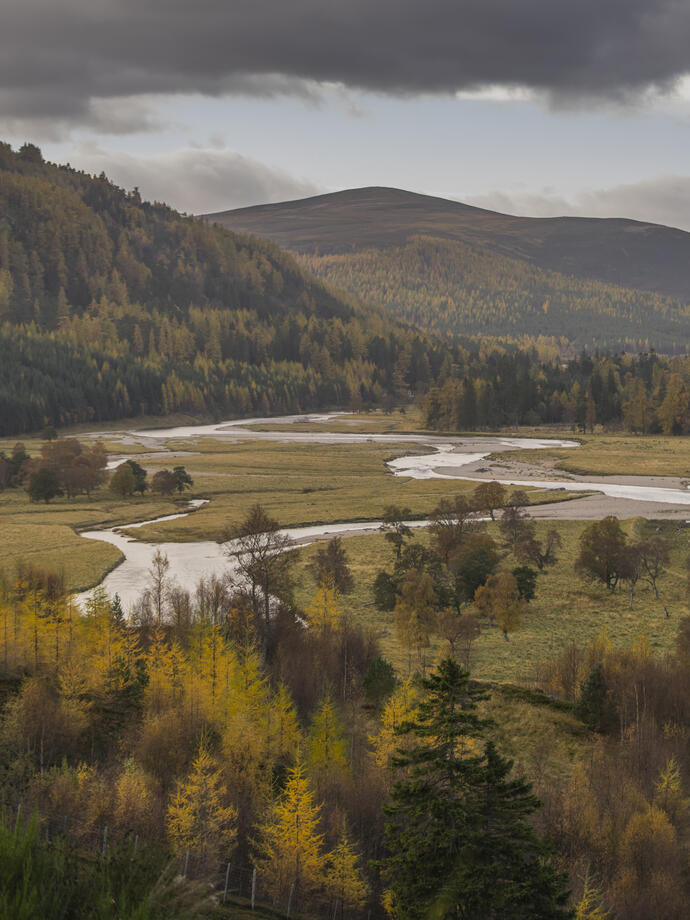 Landscape shot of a countryside view with a mountain backdrop and a stream running through the centre.