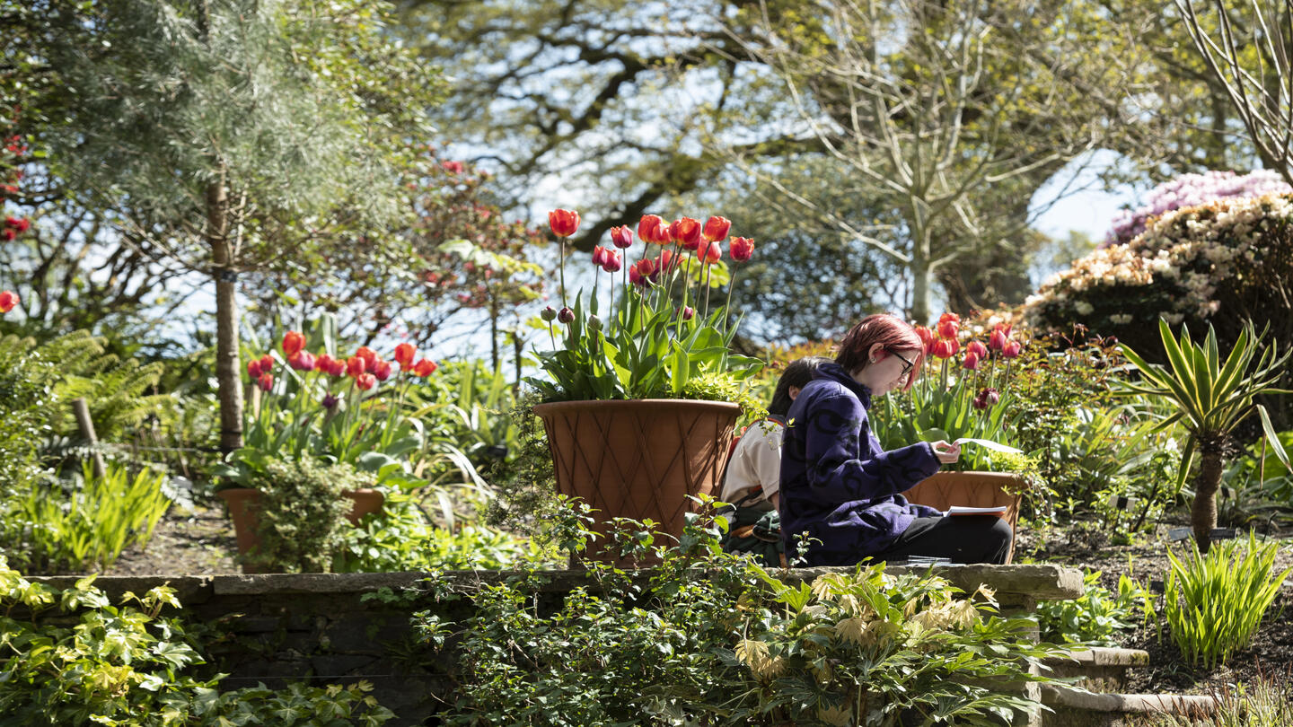 People resting in a garden setting.