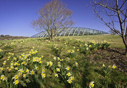 National Botanic Garden of Wales