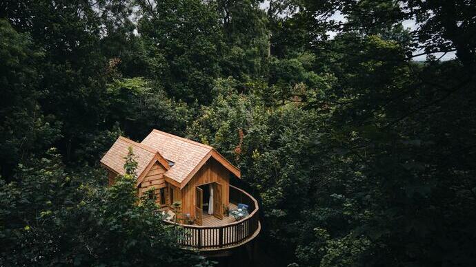 Aerial view of a wooden treehouse accommodation, nestled in a tree canopy
