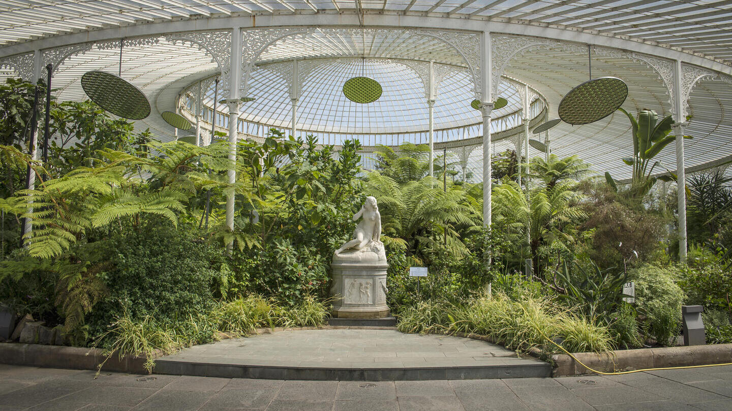 Glasgow Botanic Gardens