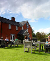 Le griffon de Felin Fach