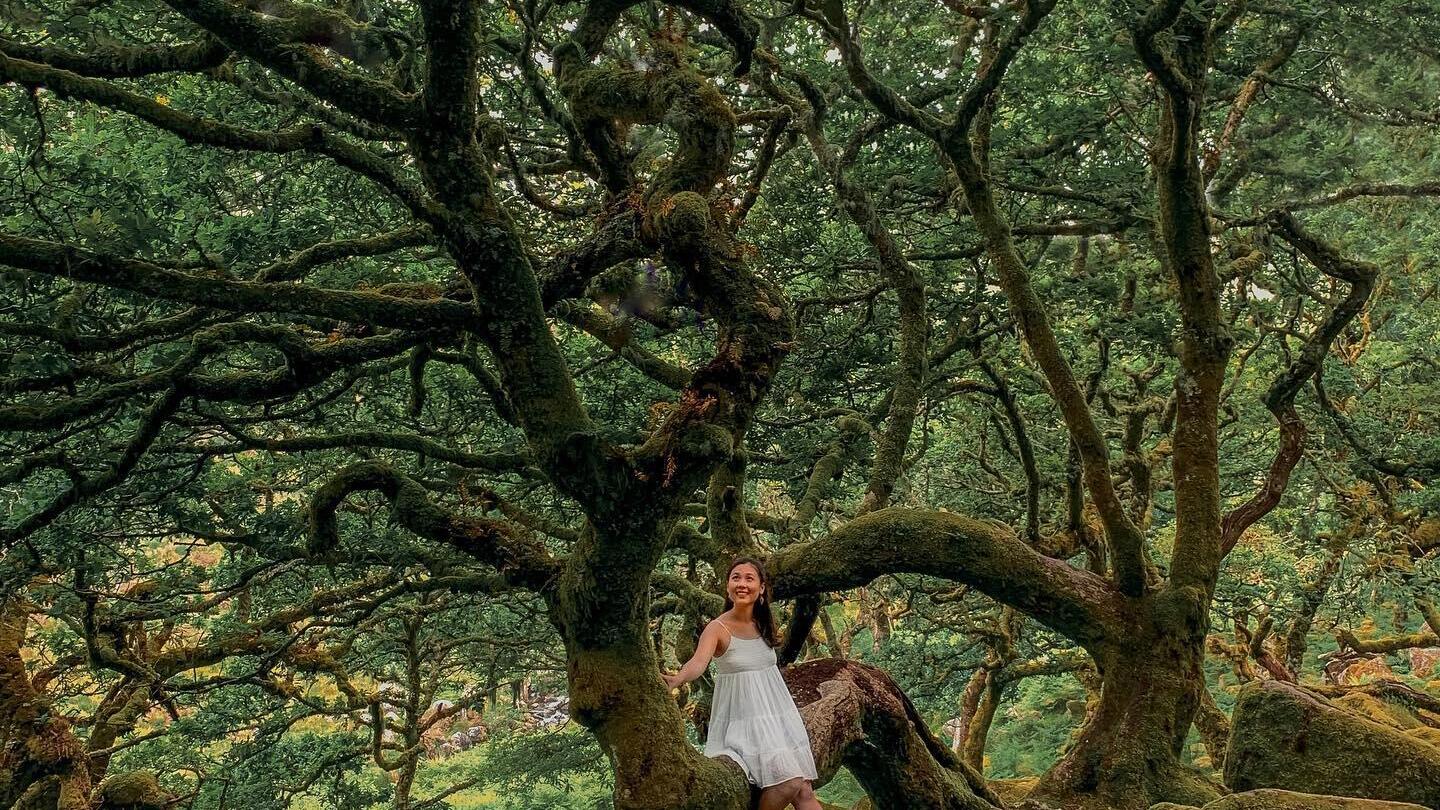 Femme en robe blanche marchant sur des rochers sous des arbres verdoyants