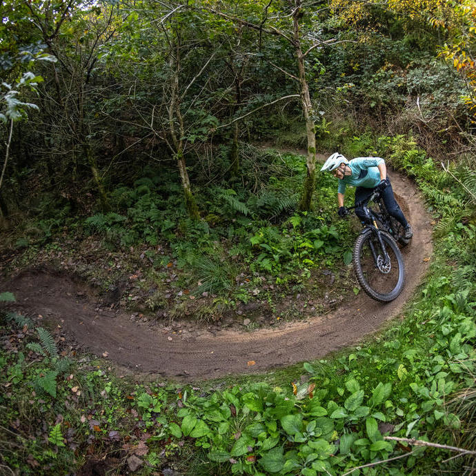 Un cycliste roule à travers les arbres le long d'une piste cyclable spécialement aménagée dans une grande forêt.