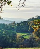 Vista de las exuberantes colinas verdes y los árboles de Abergavenny