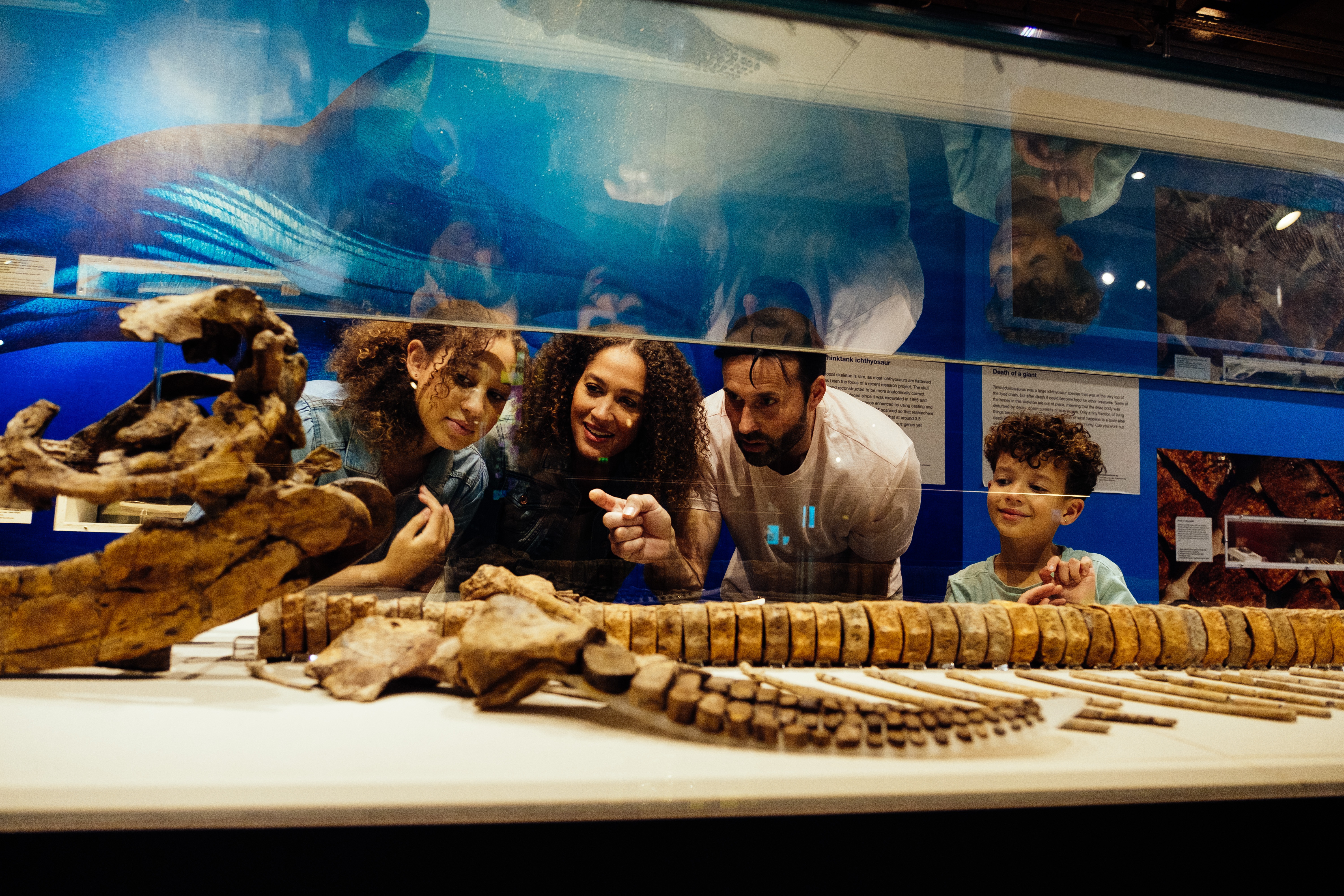 Famiglia accovacciata per osservare lo scheletro di un animale in esposizione