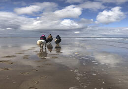 Horse riding on the Northumberland coast