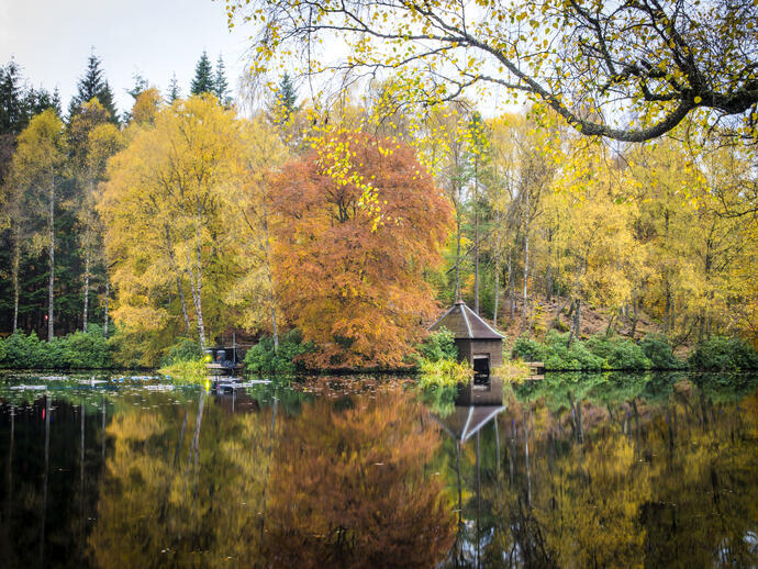 Lieux de tournage de la série Outlander, Faskally Wood