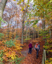 Queen Elizabeth Country Park
