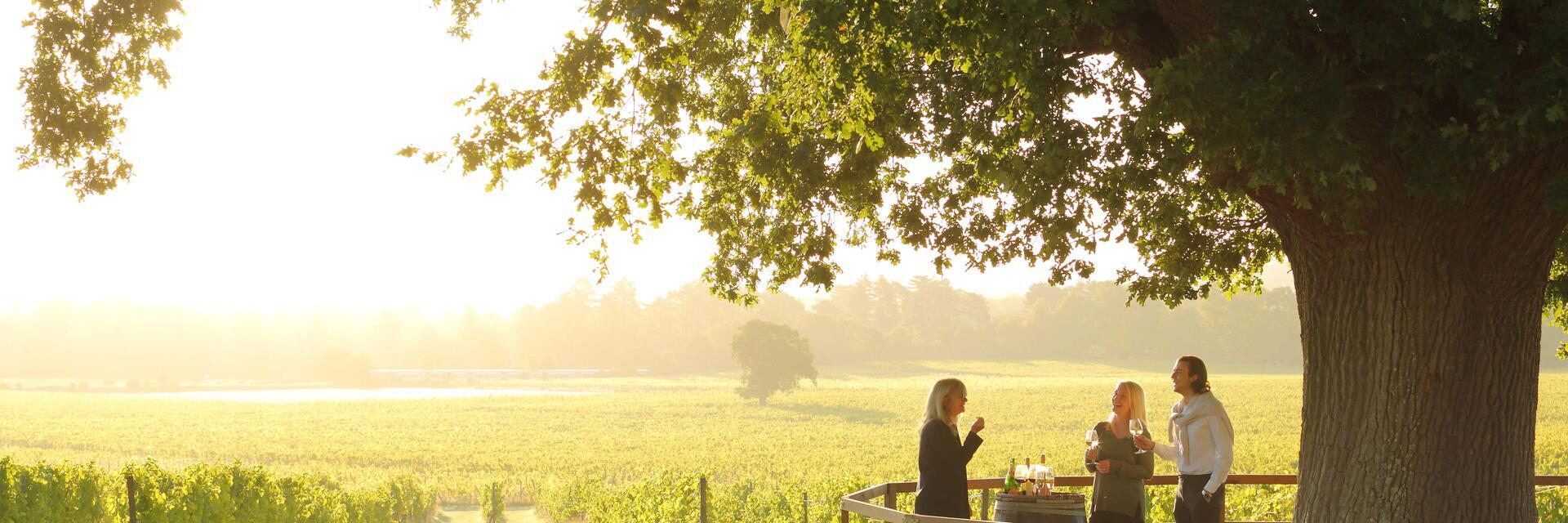 Close up of people standing under tree having a private wine tasting tour