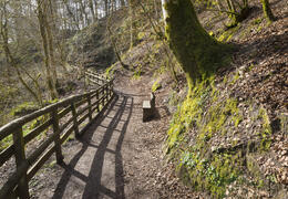 Parc régional de Calderglen