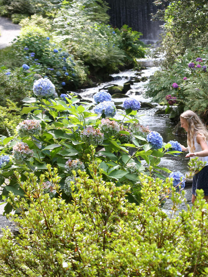 Friends crossing a stream in a floral garden.