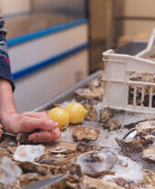 Un vendeur de fruits de mer ou poissonnier écaillant des huîtres fraîches de l'Atlantique.