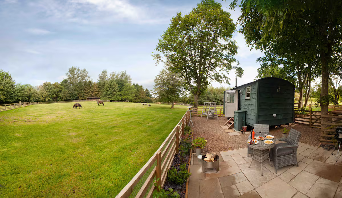 A green shepherd's hut at Budle Bay Bothies next to a patio with a table and chairs, overlooking a field of ponies.
