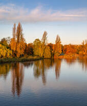 Lake and trees at Hyde Park