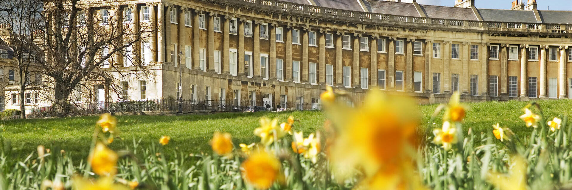 External view of regency style curved row of buildings with a field of blurred out daffodils in the foreground.