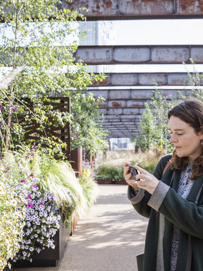 Una donna che fotografa piante e fiori nei giardini del Castlefield Viaduct, Manchester