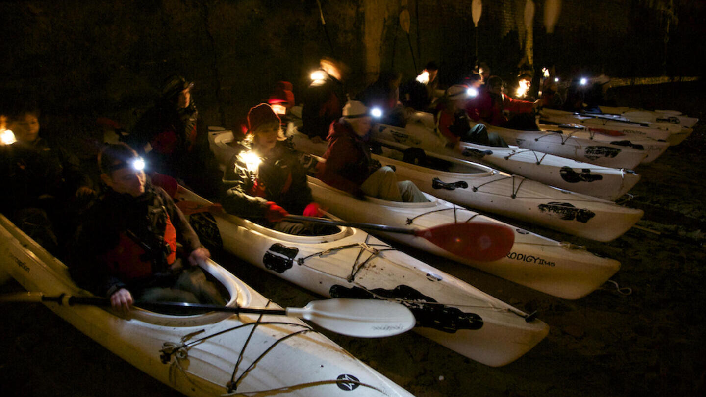 Row of people with head torches sat waiting in white canoes in water ready to go out for the night tour