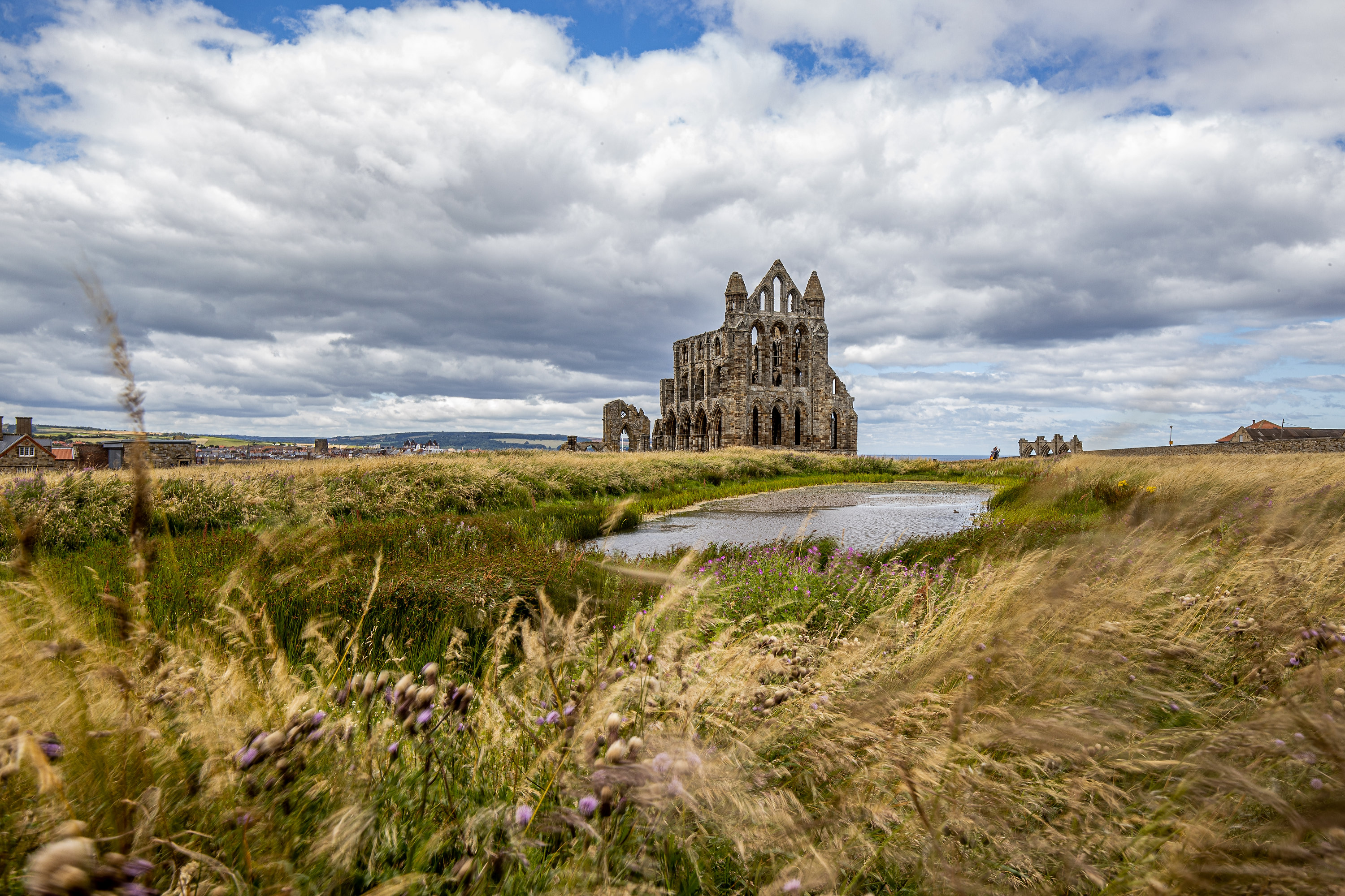 A view of Whitby Abbey from across nearby fields