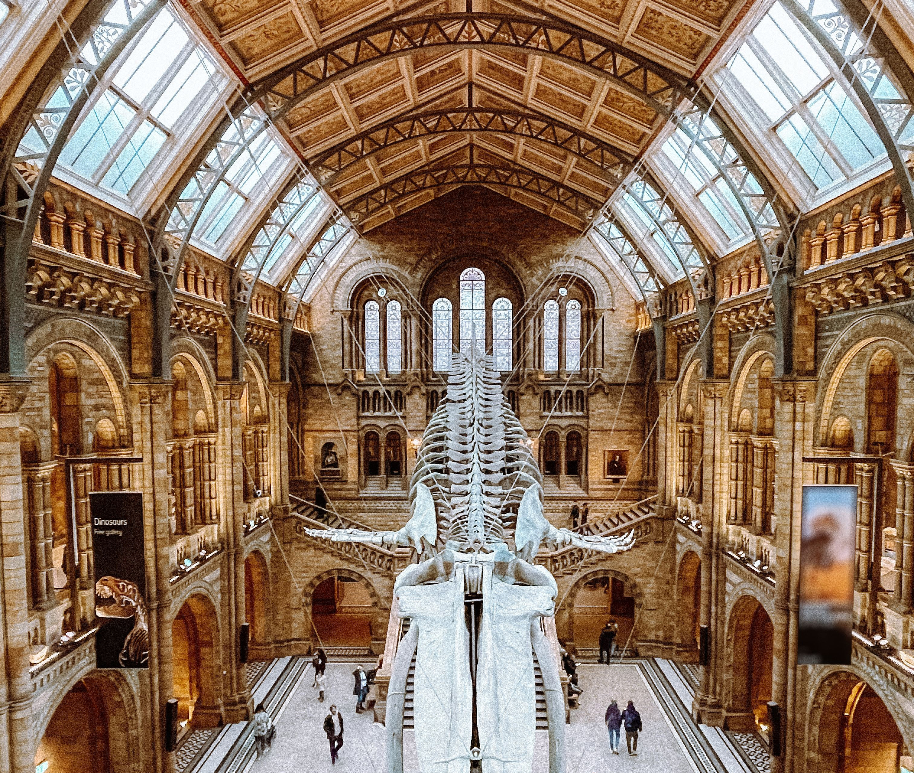Grand museum hall with arched windows, vaulted ceiling, and large dinosaur skeleton on display, visitors walking below.