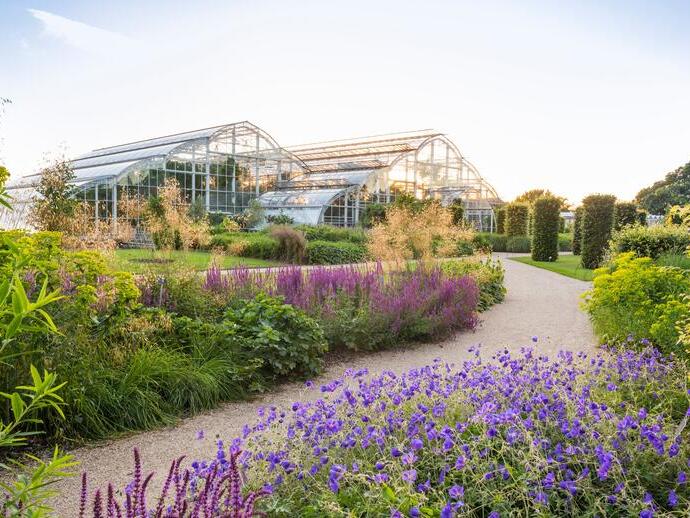 Garden with floral borders and a path leading to a glasshouse