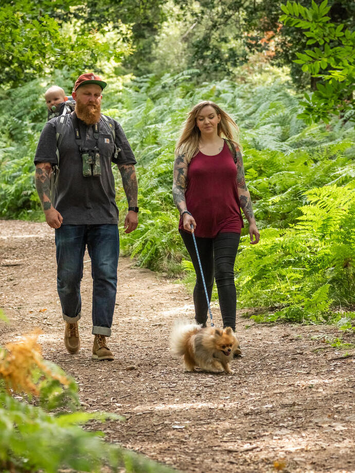Family walking through a forest with their 2 dogs.