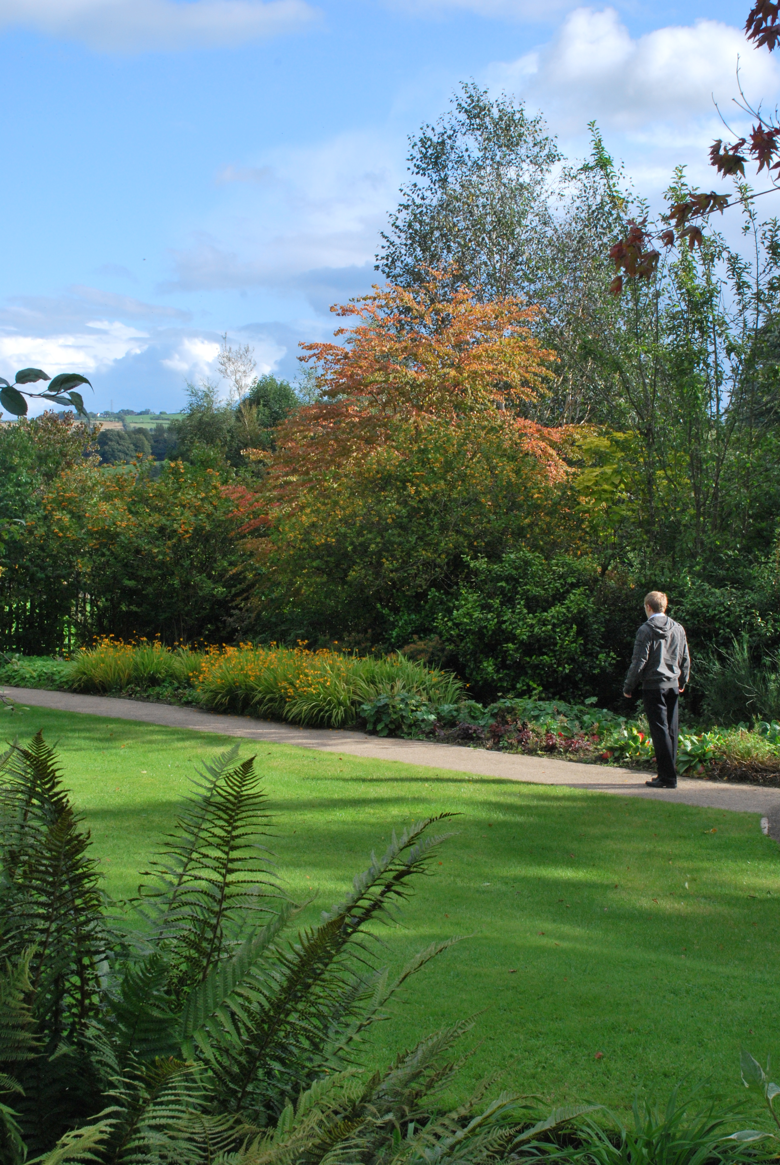 Person walking through Barnett Demesne Park