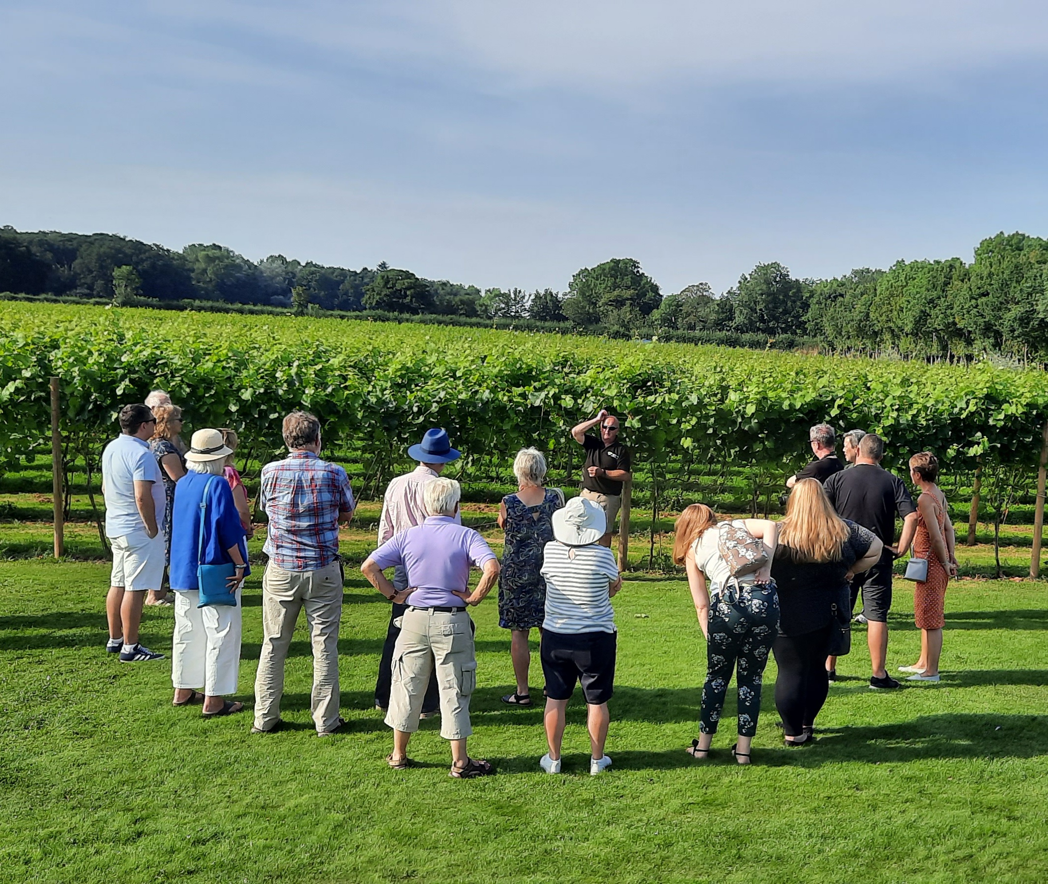Eine Reisegruppe in einem Weinberg der Yorkshire Heart Vineyard