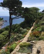 Vue aérienne des jardins Chygurno en Cornouailles