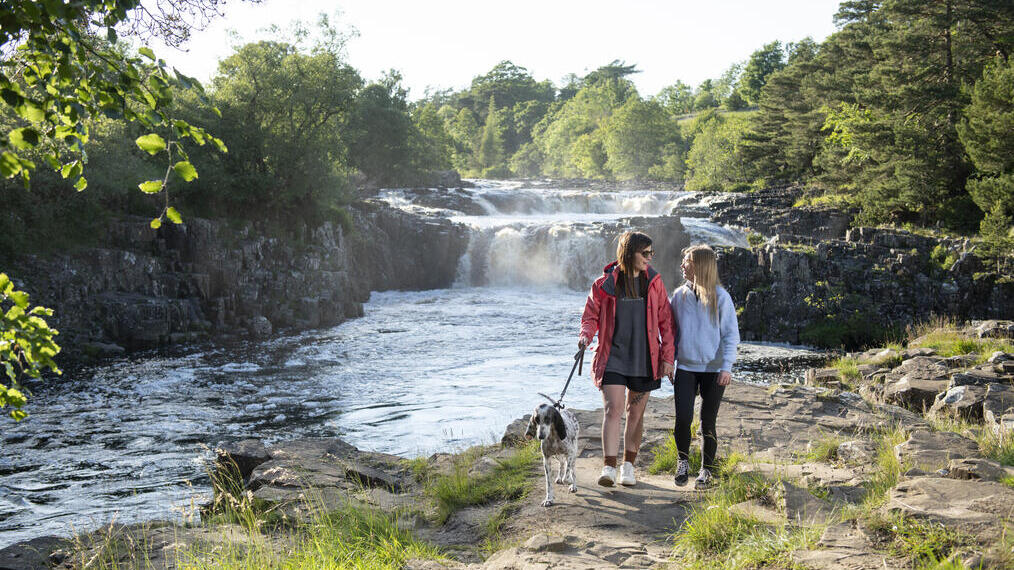 Two women and a dog walk a path beside a waterfall