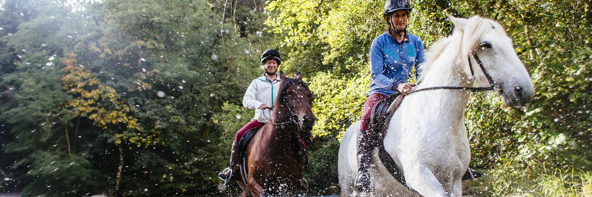 Cavalli e cavalieri che trottano nell'acqua bassa.
