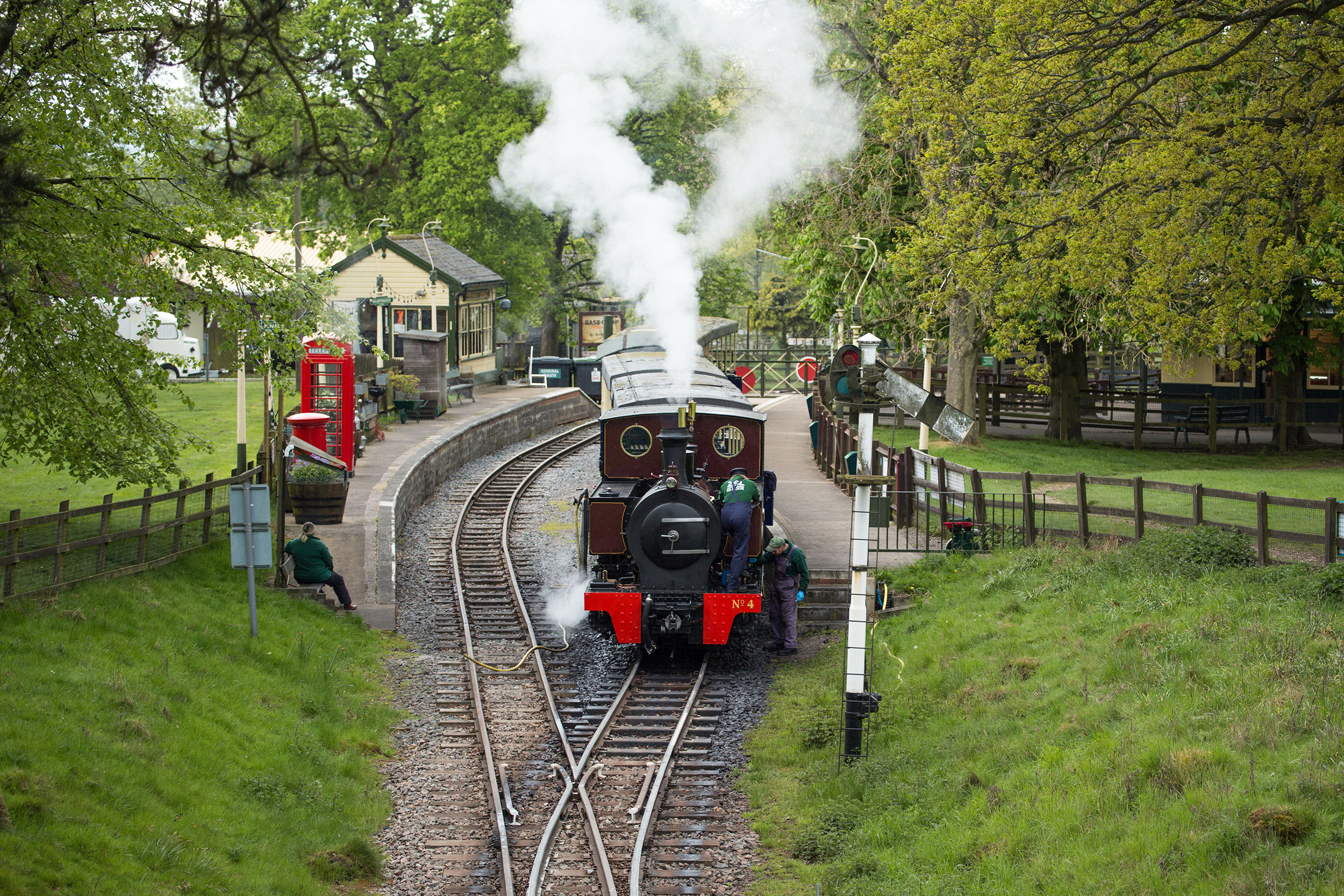 A steam train travelling through a zoo.