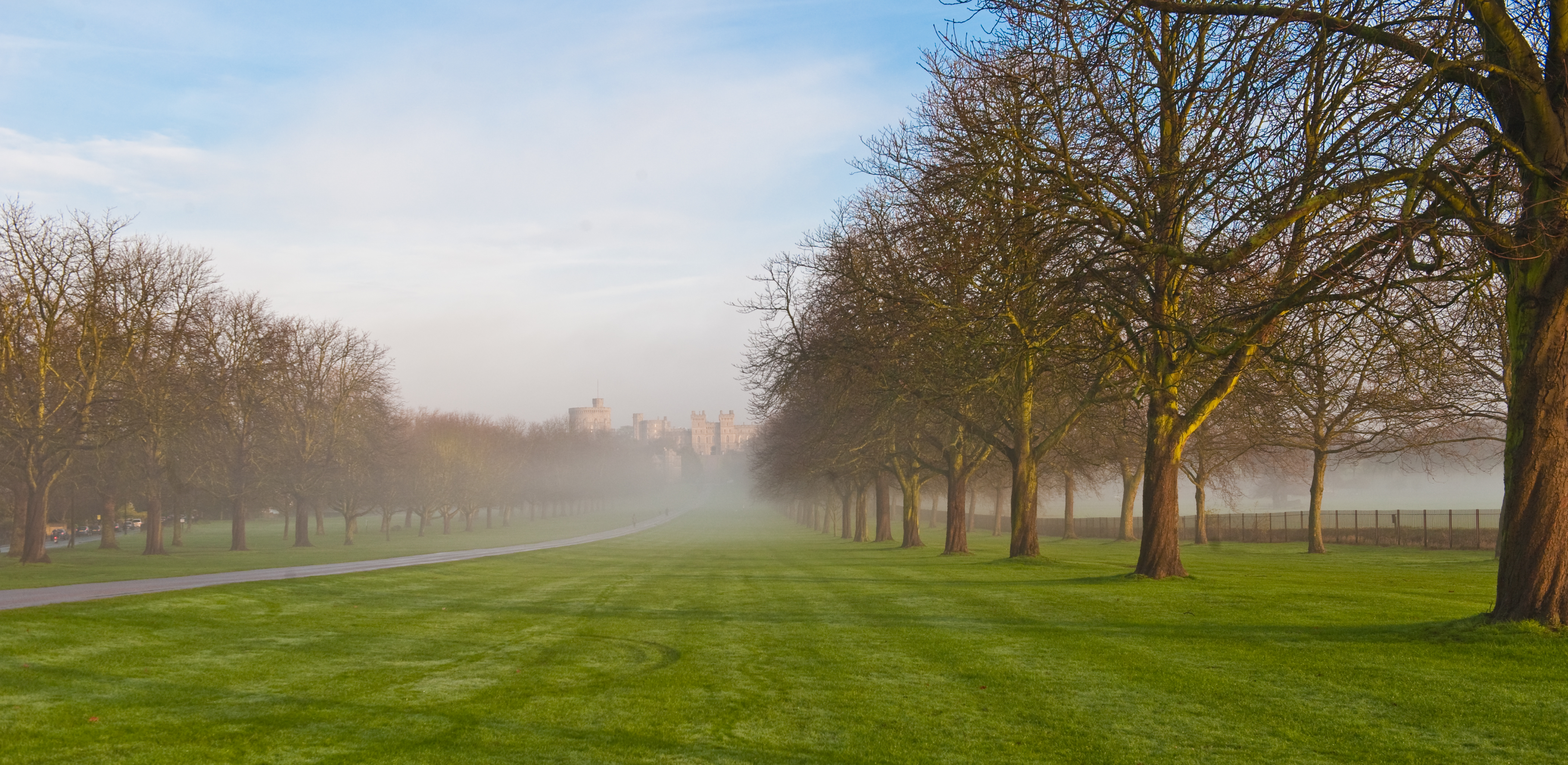 Tree lined path in Windsor Great Park