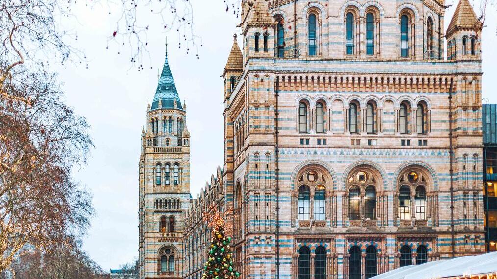 Pista di pattinaggio all'aperto con una folla di pattinatori