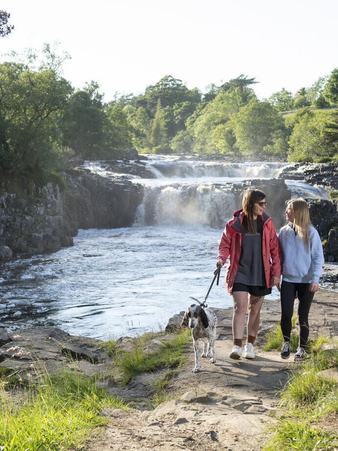 Dos mujeres y un perro caminan por un sendero junto a una cascada