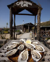 طبق من المحار المقشر على طاولة عند مدخل مقهى