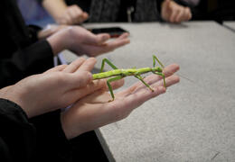 Dr Beynon's Bug Farm