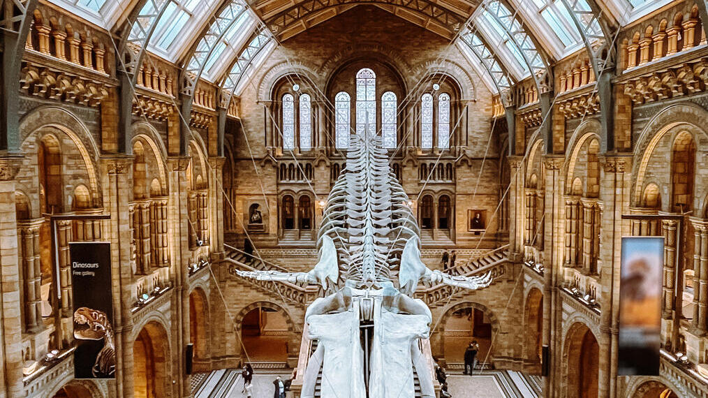 Vue depuis le balcon d'un musée sur un squelette de dinosaure flottant suspendu au plafond.