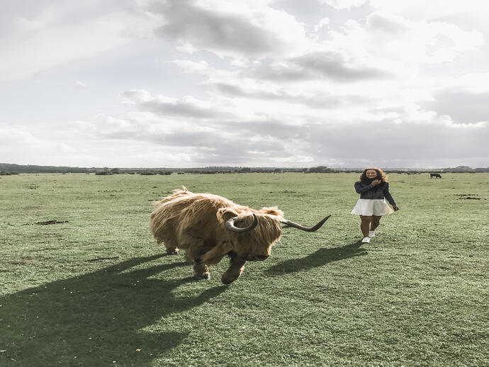 Girl, in a white skirt, walking beside a Highland cow