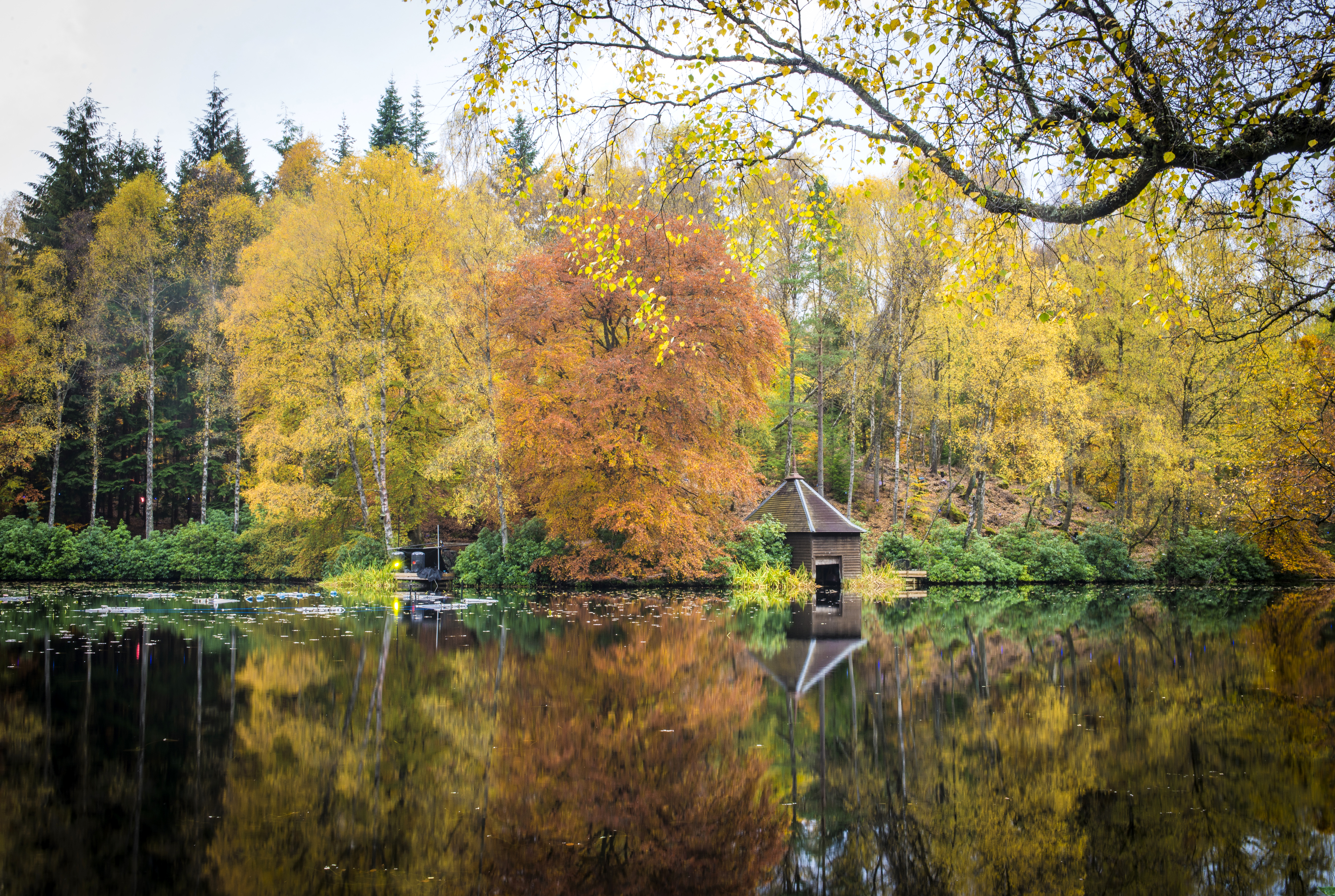Lieux de tournage de la série Outlander, Faskally Wood