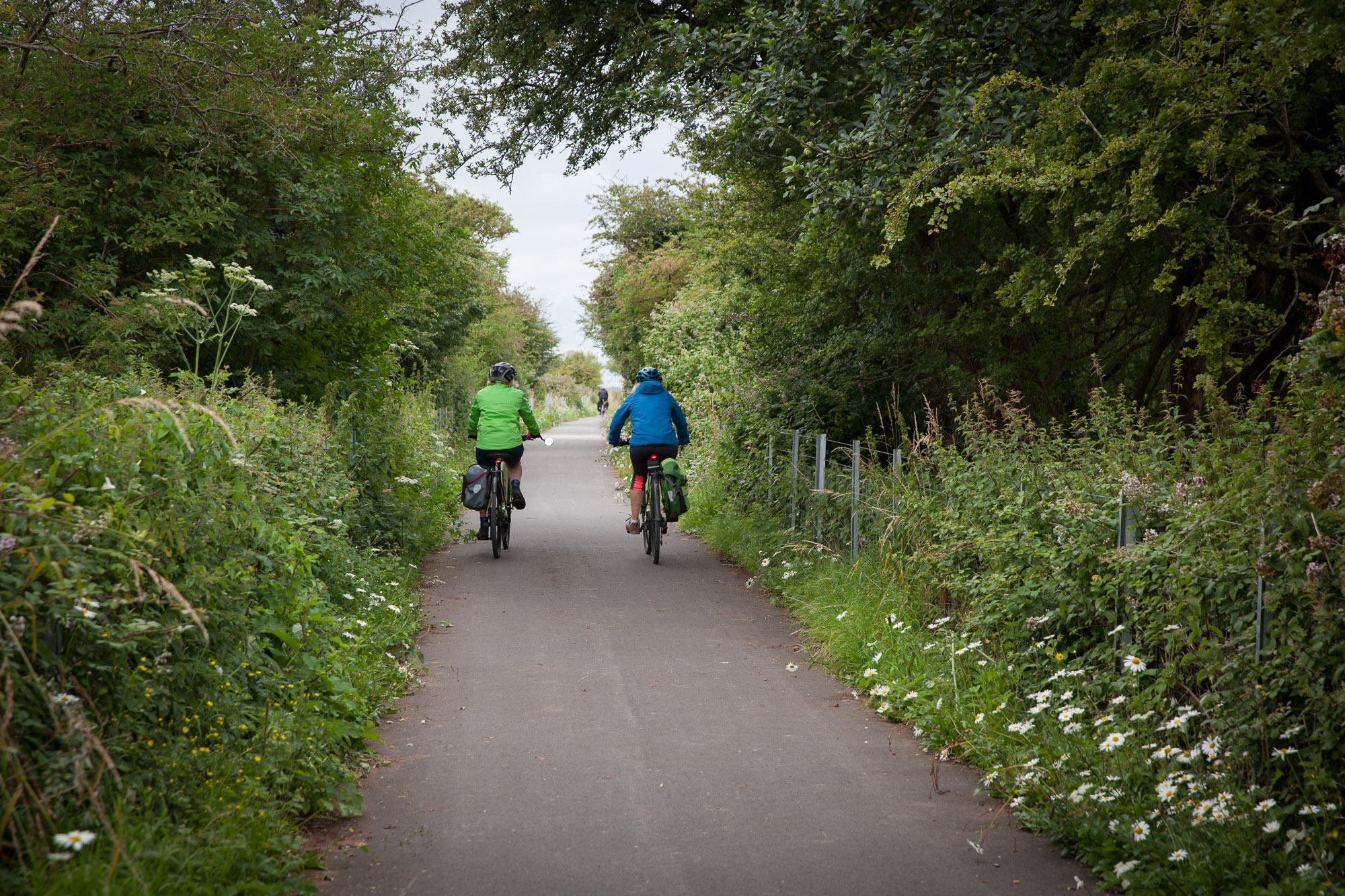 People cycling through the countryside