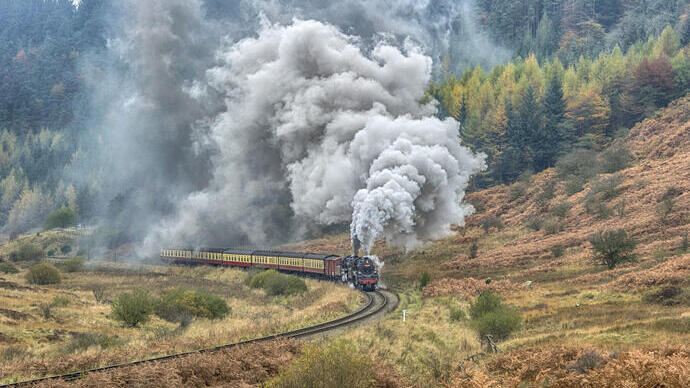 Un treno a vapore attraversa il paesaggio con una foresta sullo sfondo