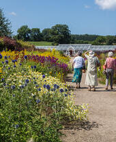 Helmsley Walled Garden