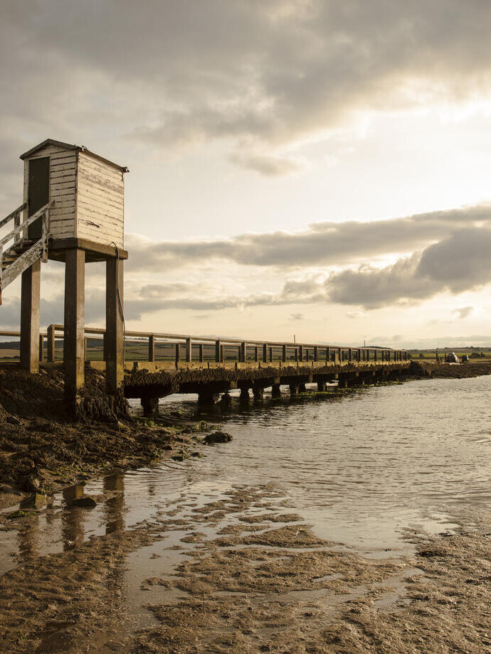 The Holy Island Causeway on the St Cuthbert's Way, Holy Island, Lindisfarne, Northumberland.