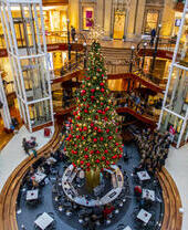 View from above of a large decorated Christmas tree